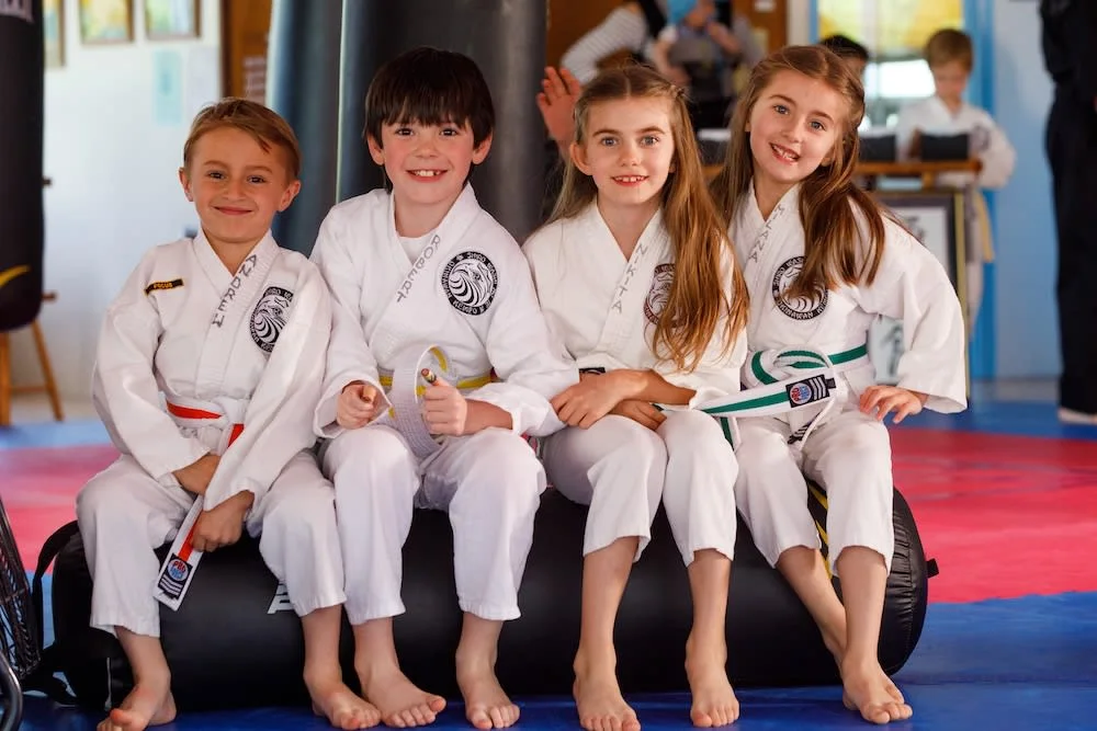Polander Academy of Martial Arts business photo