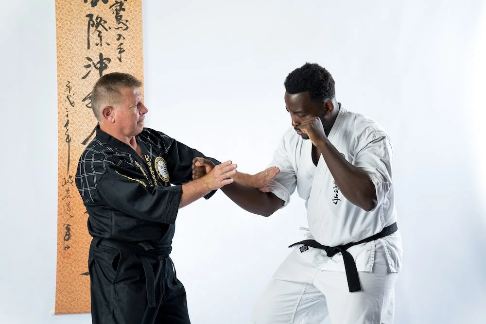 Polander Academy of Martial Arts, business photo 2
